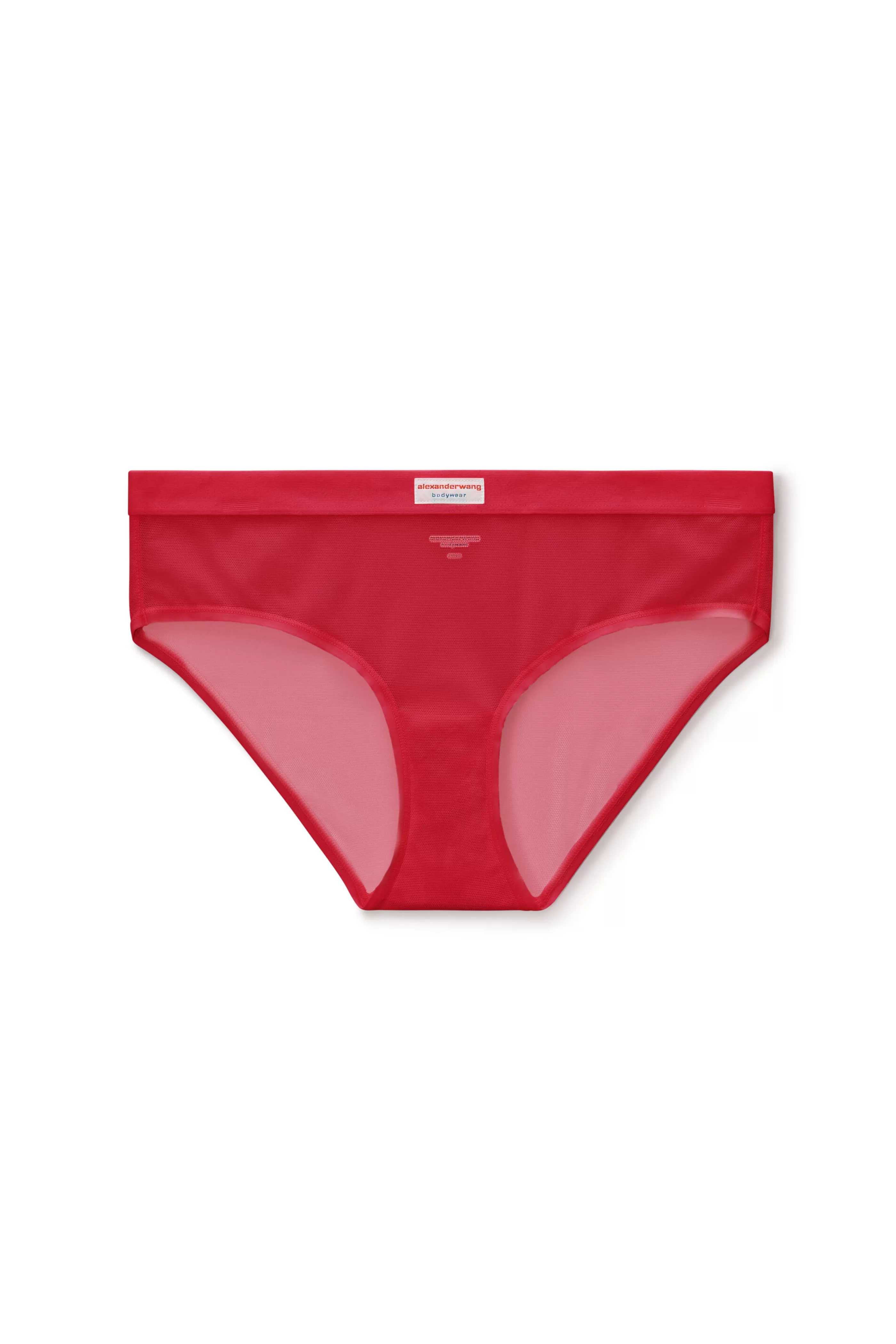 Alexander Wang Alexanderwang Classic Brief In Fine Mesh