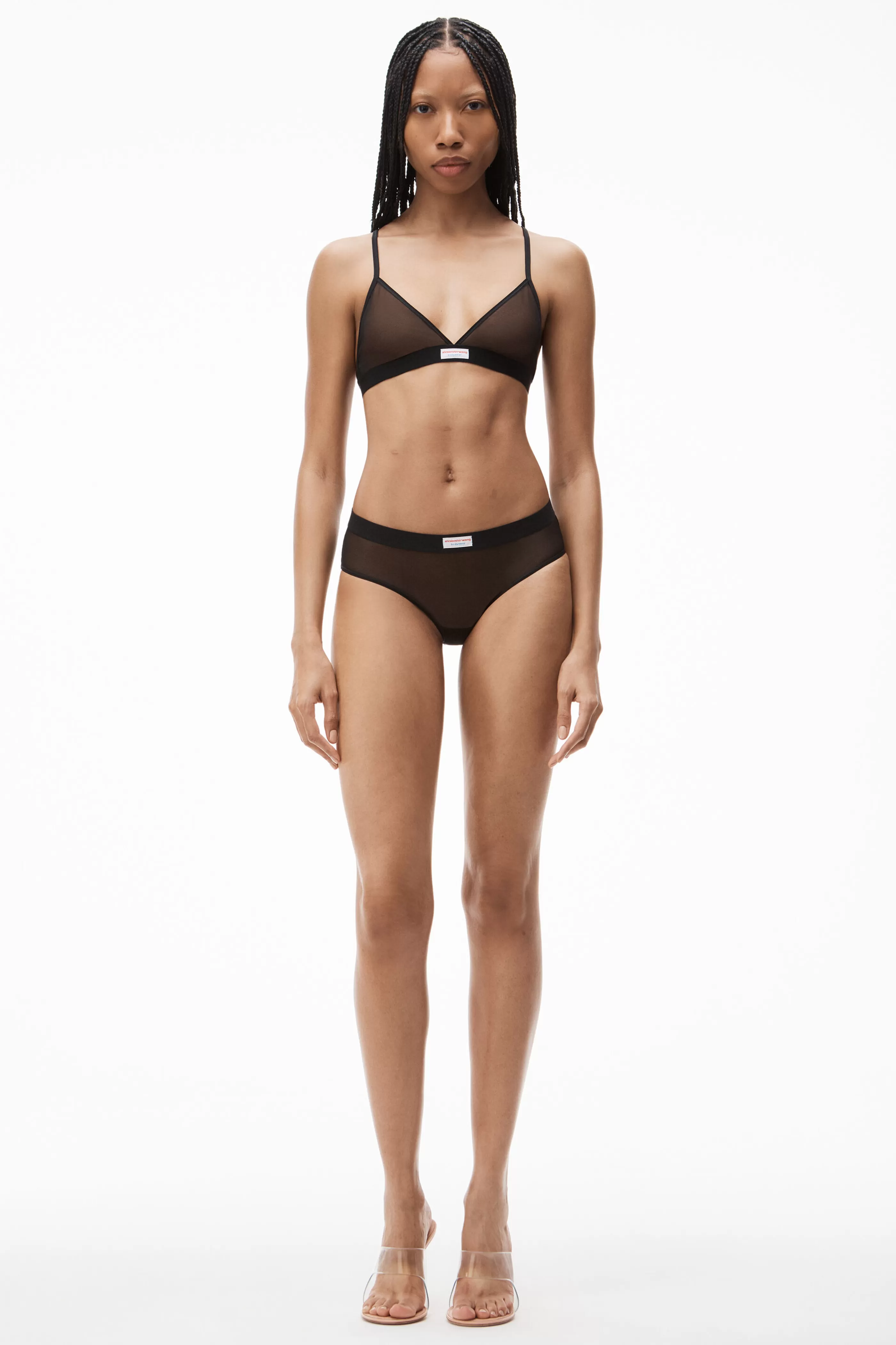 Alexander Wang Alexanderwang Classic Brief In Fine Mesh