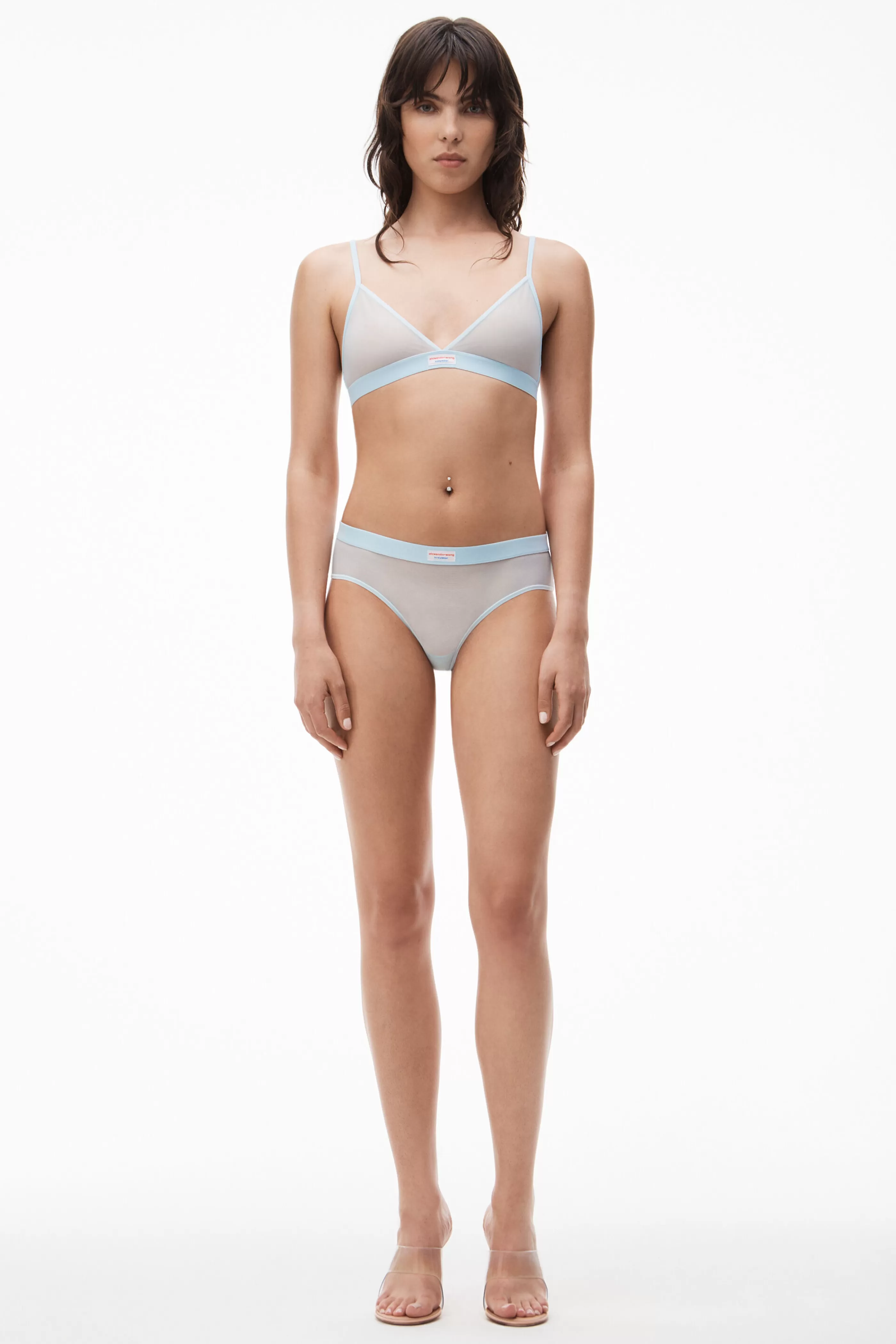 Alexander Wang Alexanderwang Classic Brief In Fine Mesh