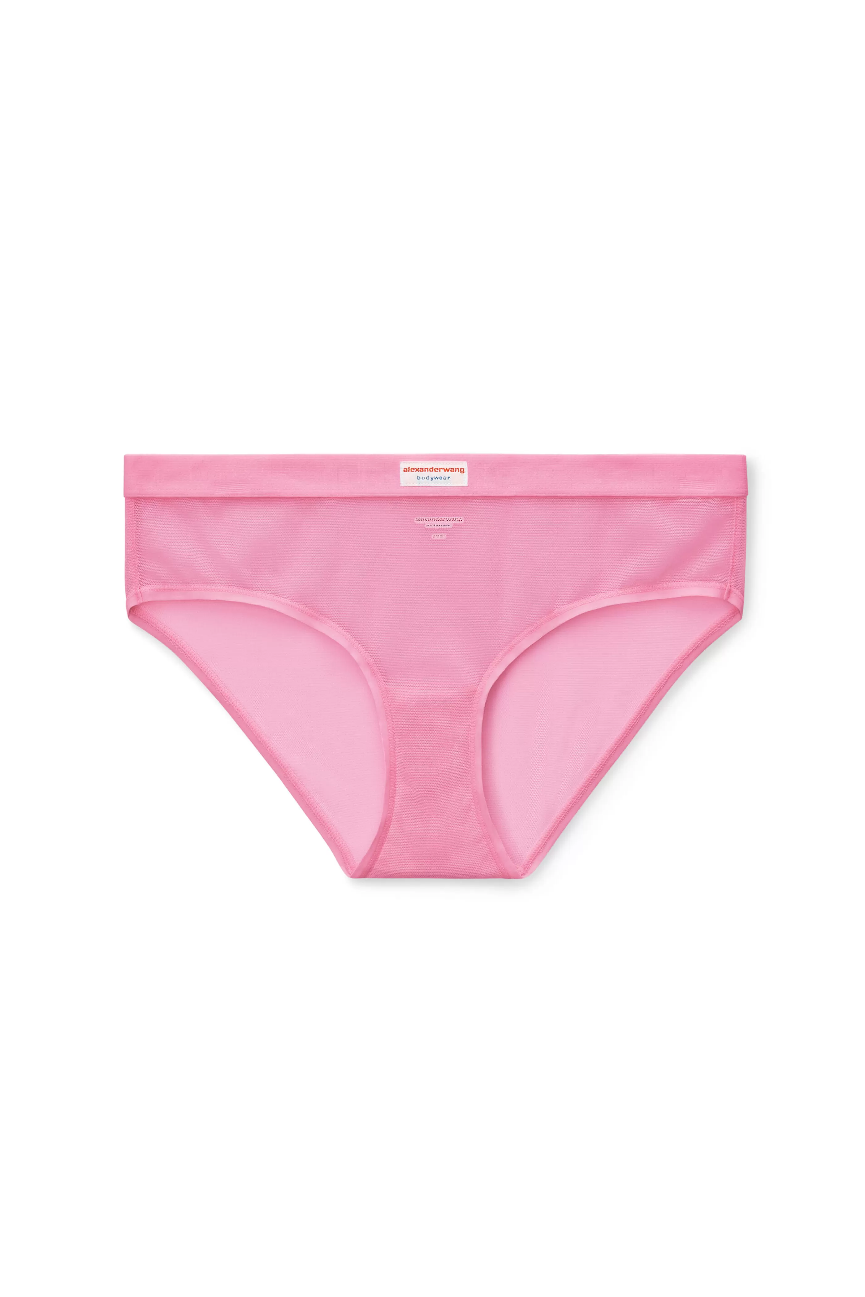 Alexander Wang Alexanderwang Classic Brief In Fine Mesh